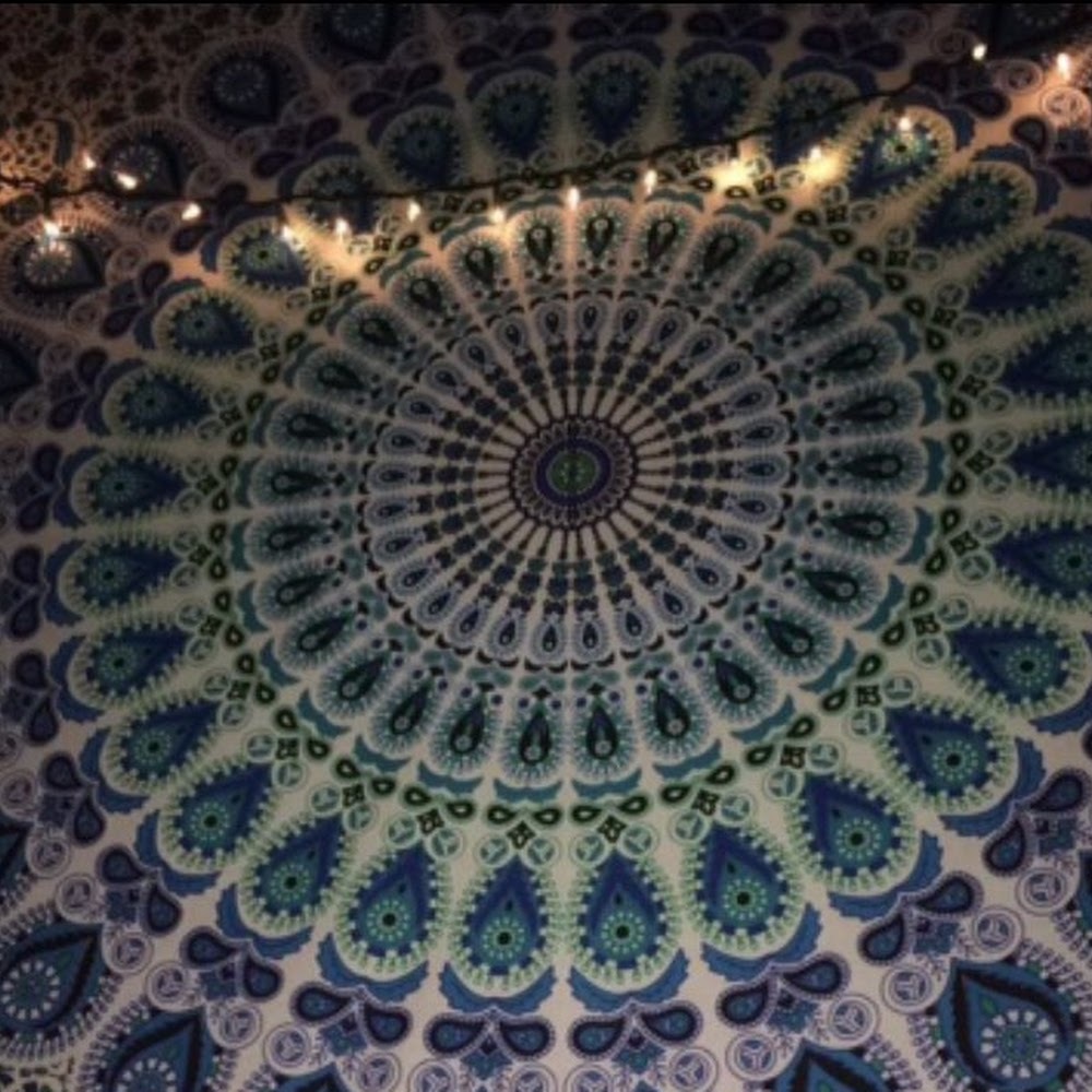 Meet your Posher, Johonna